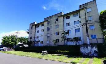 Imagem: /Alpinia - atrás da Bemol da Torquato