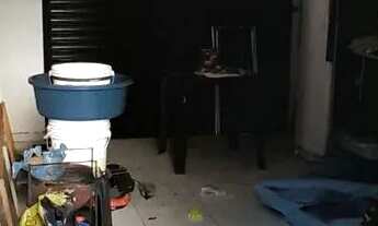 Imagem 4: Casa para repasse