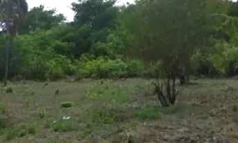 Imagem: ACEITO PROPOSTA)VENDO TERRENO LOCALIZADO