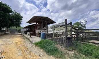 Imagem 5: Barrozo Imóveis - Fazenda a venda em Silva Jardim com 325 ha toda no pasto e plantação mil
