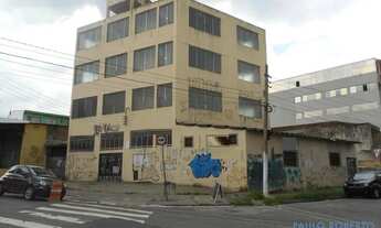 Imagem 4: COMERCIAL - CAMPO GRANDE - SP