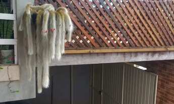 Imagem 3: Casa mista Casa com 2 dormitórios