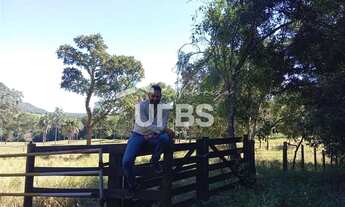 Imagem 4: Oportunidade de chacará com mata exuberante