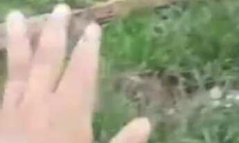 Imagem 2: Estou vendendo este terreno