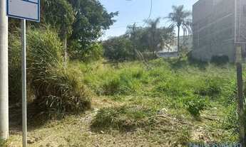 Imagem 7: TERRENO - JARDIM MADALENA - SP