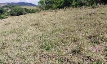 Imagem 4: Terreno de 20.000 m² , Só Pasto em Piracaia