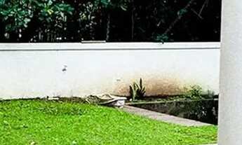 Imagem 2: Mansão altíssimo padrão C/ 5 Quartos (3 Suites) / 300m2 / Ilhas tijuca na Barra / rio de