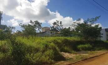 Imagem: Lote Águas Virtuosas