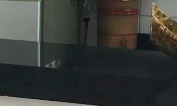 Imagem 7: Apartamento maravilhoso Top Life Mallorca