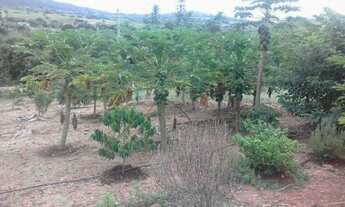 Imagem 7: Sitio no Povoado de Olhos D'agua de Cima em Jacobina ba