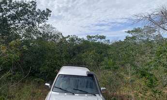 Imagem 4: Fazenda Juquirada no Muni. de Chapada dos Guimaraes - MT