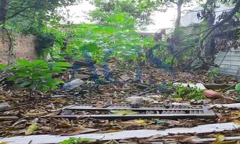 Imagem 5: São Paulo - Terreno Padrão - PENHA