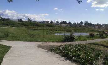 Imagem 7: PELOTAS - Terreno Padrão - Areal