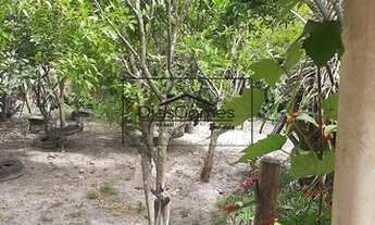 Imagem 2: PELOTAS - Casa Padrão - Areal