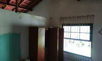 Imagem 2: 3 hectares com casarão 207 mil reais