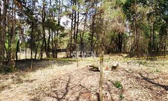 Imagem 7: Terreno a Venda Jardim Imperial