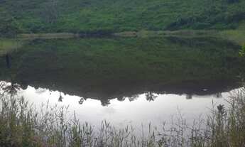 Imagem: Terra 14 alqueires pego imóvel na negociação