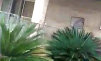 Imagem 2: Chacara em Condominio Fechado em Trindade - Oportunidade!!!