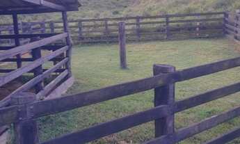 Imagem 4: Terra 14 alqueires pego imóvel na negociação? 50 km de Parauapebas?
