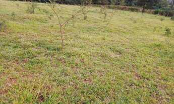 Imagem 12: Chácara 500m plana, C/água e luz em Igarapé no Vilarejo Varginha. Ac. carro e financio