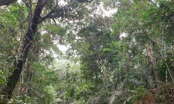 Imagem: Fazenda Juquirada no Muni. De Chapada dos
