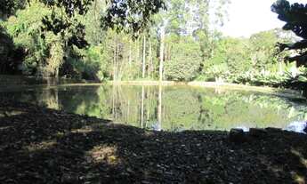 Imagem 7: Área rural 5 hectares em Santa Terezinha - SC