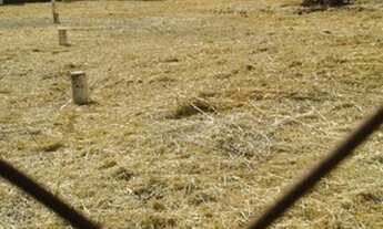 Imagem 4: Terreno para alugar, 500 m² por R$ 5.000,00/mês - Jardim Palma Travassos - Ribeirão Preto