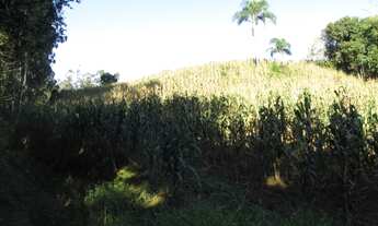 Imagem 5: Área rural 5 hectares em Santa Terezinha - SC