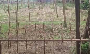 Imagem 3: Vende se chácara em marialva