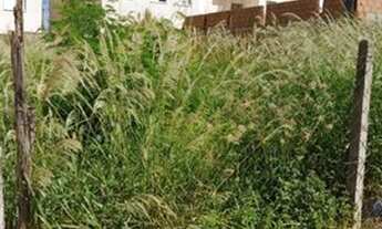 Imagem 2: Venda - Terreno - Parque Universitário - Americana - SP