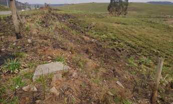 Imagem 5: Ótimo terreno para investimento em comércio turístico