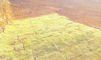 Imagem 7: Vende-se casa Casa com 2 dormitórios