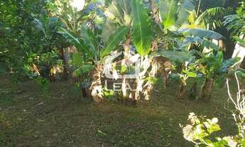 Imagem 5: Porteira fechada! Amplo sítio à venda, no Filipinho, Embu-Guaçu, SP por R$ 520.000,00. Não