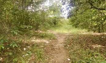 Imagem 3: Chácara dentro de Aparecida de Goiânia com água