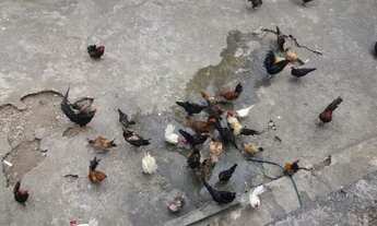 Imagem 6: Casa semi mobiliada