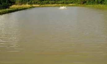 Imagem 4: Sítio em Manacapuru