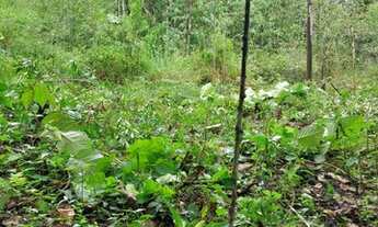 Imagem: Terreno 7 barras c/ cachoeira- aprox 10