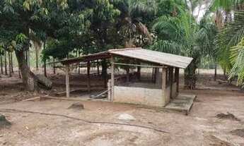 Imagem 2: Fazenda 32.5 alqueires, excelente para pecuária!