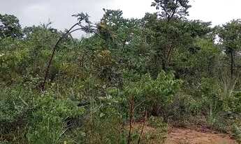 Imagem 4: Chácara Portal dos Sonhos