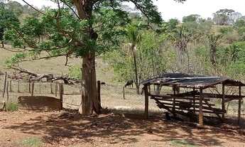Imagem 3: Fazenda no DF com 30 hectares oportunidade