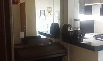 Imagem 4: Borges Landeiro (tropicale