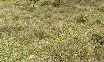 Imagem 6: Fazenda/Sítio/Chácara para venda tem 5000 metros quadrados em Zona Rural - Paraopeba - MG