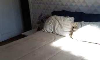 Imagem: Quarto para moças em Rio Comprido