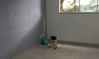 Imagem 6: Apartamento para aluguel possui 55 metros quadrados com 2 quartos