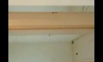 Imagem: Apartamento no parque sabiá, 2 quartos