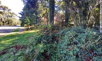 Imagem 6: Terreno no bairro Vila Suiça em Canela!