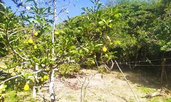 Imagem 6: Terreno próximo do Centro de Ibiúna