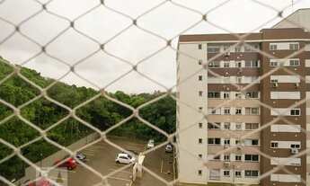 Imagem 6: Apartamento para Aluguel - Vila Nova, 2 Quartos, 55 m2