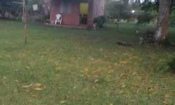 Imagem 2: Sítio em Manacapuru