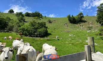 Imagem 7: Sítio à venda no bairro Ribeirão do Imarui - Imaruí/SC